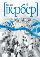 Муравьи