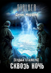 Судьба Сталкера. Сквозь Ночь