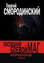 Последний Боевой Маг