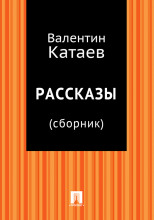 Рассказы