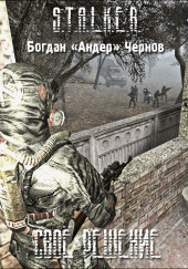 S.T.A.L.K.E.R. Своё решение