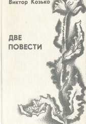 Повесть о беспризорной любви