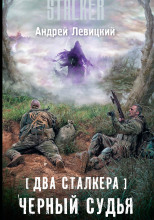 S.T.A.L.K.E.R. Два сталкера. Чёрный судья