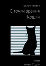 С точки зрения кошки