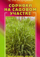 Сорняки на садовом участке