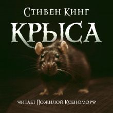 Крыса