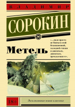 Метель