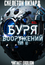 Буря Вооружений. Том 12