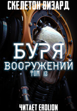 Буря Вооружений. Том 13