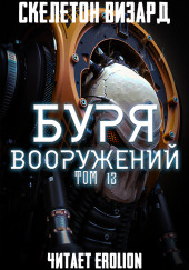 Буря Вооружений. Том 13