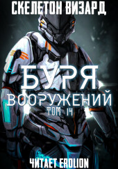 Буря Вооружений. Том 14