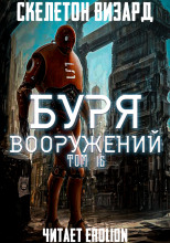 Буря Вооружений. Том 16