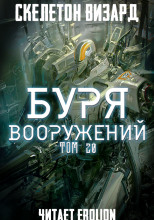 Буря Вооружений. Том 20