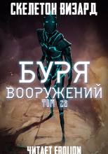 Буря Вооружений. Том 28