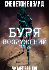 Буря Вооружений. Том 28