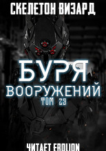 Буря Вооружений. Том 29