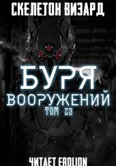 Буря Вооружений. Том 29