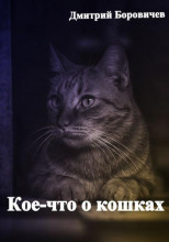 Кое-что о кошках