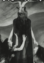 Чёрные крылья