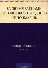 За двумя зайцами погонишься, ни одного не поймаешь