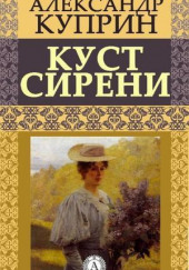 Куст сирени