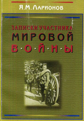 Записки участника мировой войны