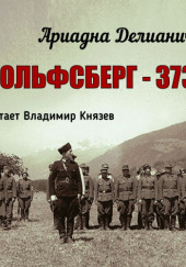 Вольфсберг-373