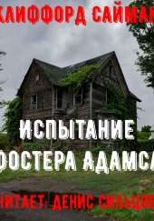 Испытание Фостера Адамса