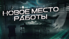 Новое место работы