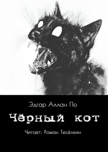 Чёрный кот