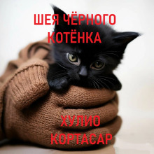 Шея чёрного котёнка