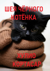 Шея чёрного котёнка