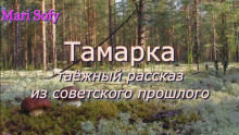 Тамарка