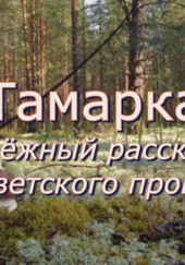 Тамарка