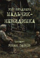 Мальчик-невидимка