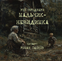 Мальчик-невидимка