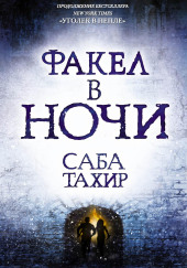 Факел в ночи