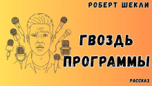 Гвоздь программы