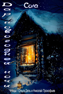 Дар новогодней ночи