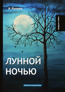 Лунной ночью