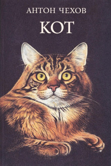 Кот