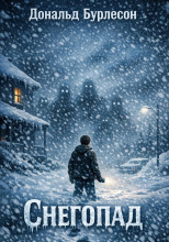 Снегопад