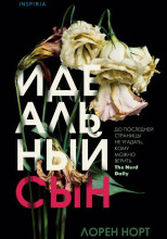 Идеальный сын