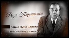 Роза Парацельса