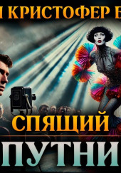 Спящий спутник