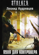 S.T.A.L.K.E.R. Пуля для Контролёра