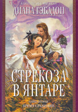 Стрекоза в янтаре. Время сражений