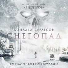 Снегопад