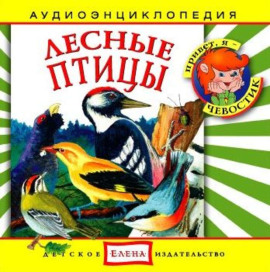 Лесные птицы