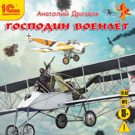 Господин военлет